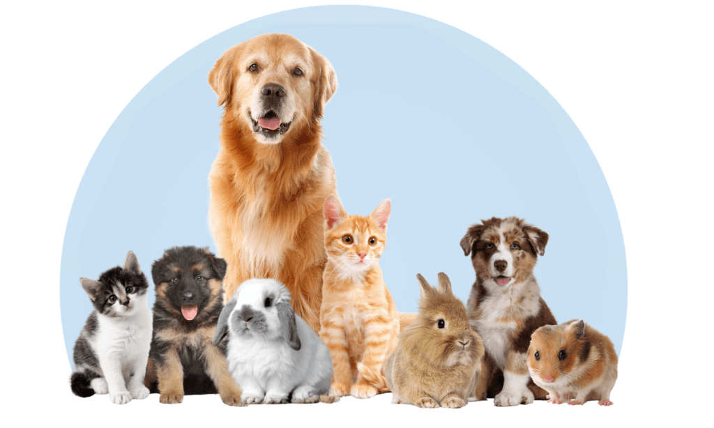 Veterinary Care & Lab Tests